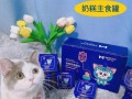 小奶猫奶糕(萌动幼猫奶糕喂养指南，呵护健康成长)