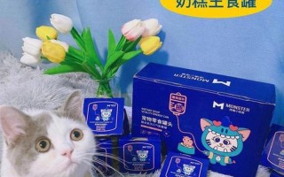 小奶猫奶糕(萌动幼猫奶糕喂养指南，呵护健康成长)