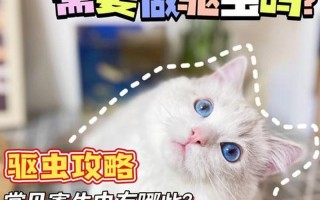 养猫感觉身上有跳蚤_养猫身上有跳蚤怎么办