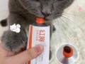 怎样给猫喂化毛膏_巧妙喂化毛膏，呵护爱猫肠胃健康