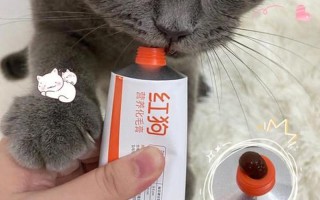 怎样给猫喂化毛膏_巧妙喂化毛膏，呵护爱猫肠胃健康