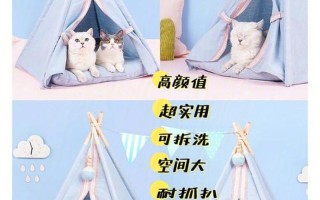 房间内养猫—猫咪的室内王国：打造舒适宜居的猫窝