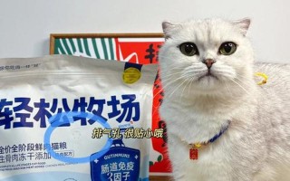 猫咪多大喂成年猫粮—猫咪多大可以从幼猫粮切换到成年猫粮？