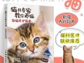 新手想养猫(养猫入门指南：新手铲屎官必读)