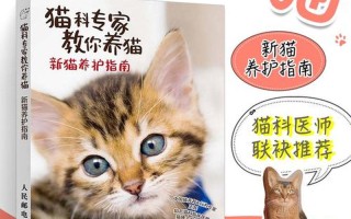 新手想养猫(养猫入门指南：新手铲屎官必读)