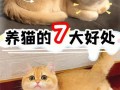 家里养猫的注意事项_家里养猫的注意事项是什么