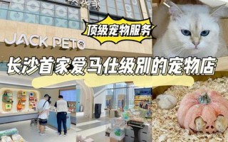 通州区宠物店寄养猫(北京通州区宠物店猫咪寄养中心：贴心呵护，温暖相伴)