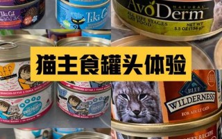 猫罐头拌什么喂猫好呢(猫罐头搭配美食指南，营养加倍，美味升级)