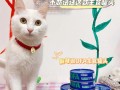 猫咪罐头和猫粮怎么喂—猫罐头猫粮科学喂养指南